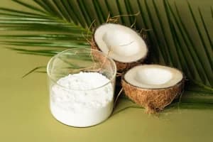 Premium Dried Coconut Milk Powder