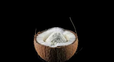 Coconut Milk Powder